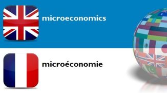 Microeconomics_macroeconomics